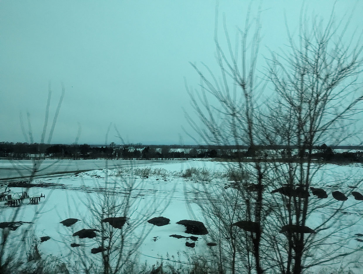 占冠の冬景色。雪原に黒い土の塊が点在し、葉を落とした木々が立つ、曇り空の寒々しい風景。