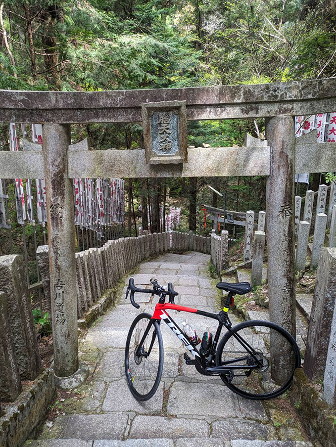 脳天大神とロードバイク