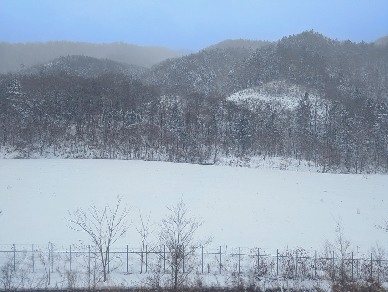 ミルキーライナーからの景色　雪