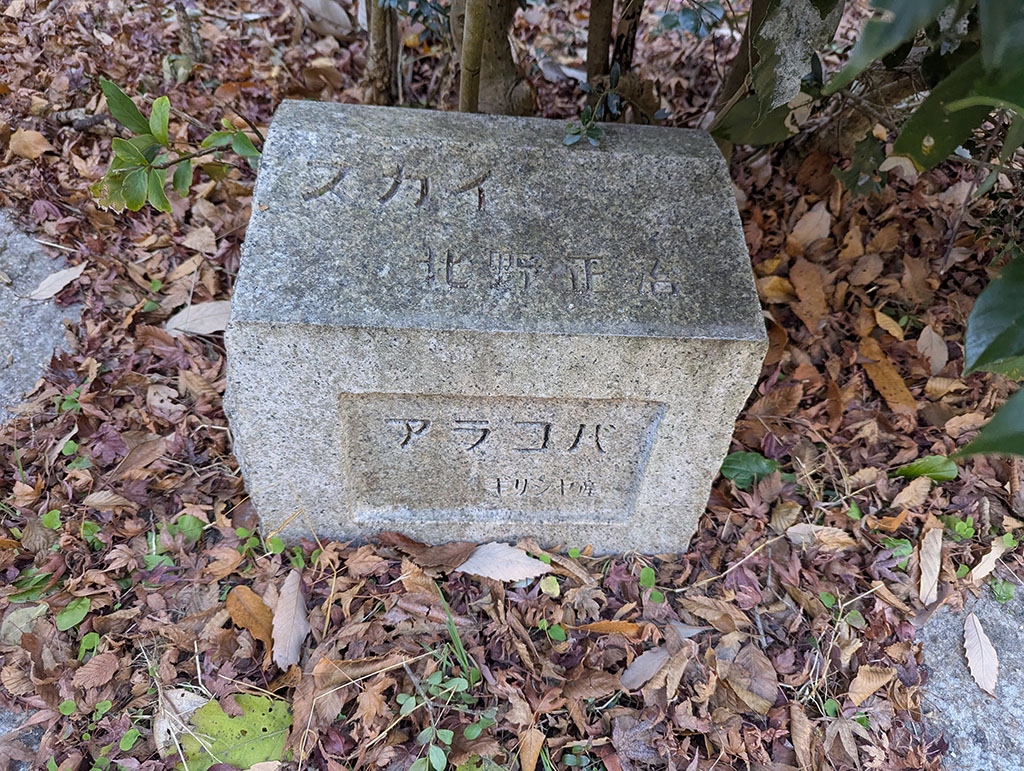 スカイ 北野正治 アラコバ ギリシャ産