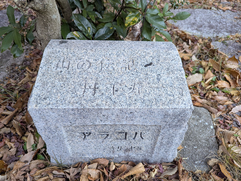 山の伝記 井上寿 アラコバ ギリシャ産