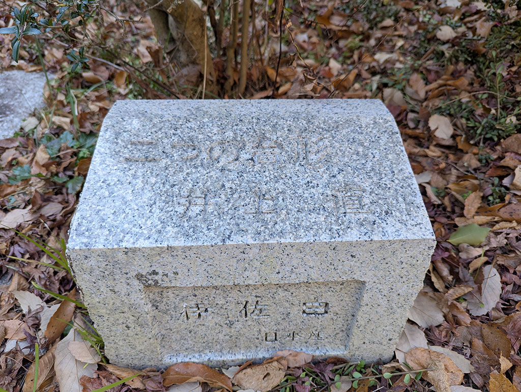 二つの台形 井上尚 伊佐田 日本産