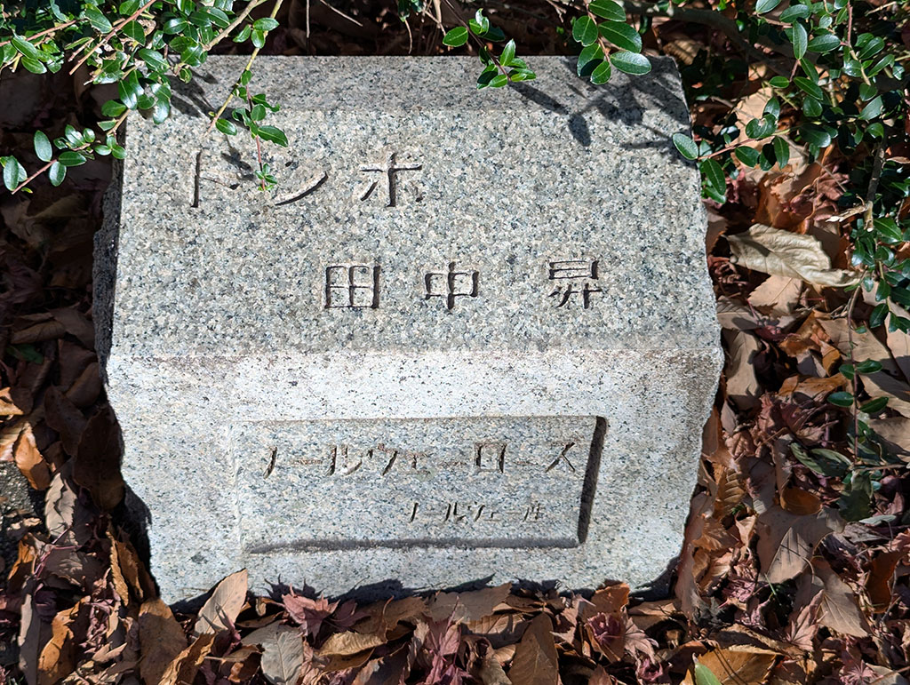 トンボ 田中昇 ノルウェー産