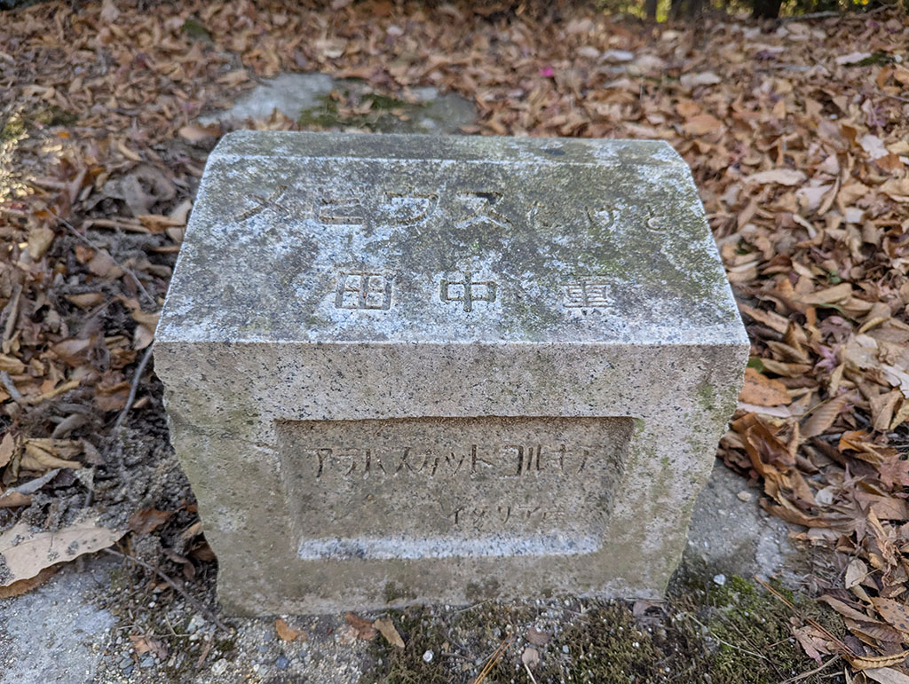 メビウスだけど 田中薫 アテムスカットコツキナ イタリア産