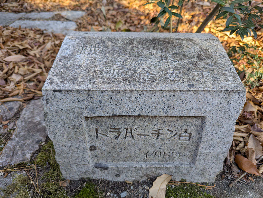 蛾 新谷英子 トラバーチン白 イタリア産