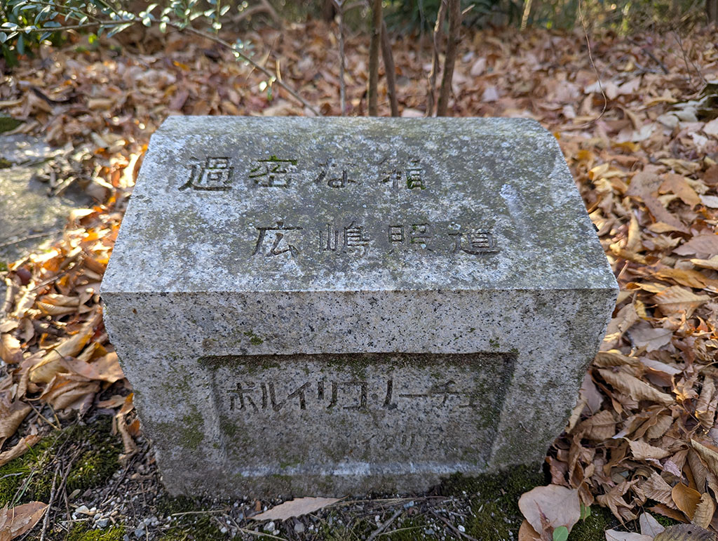 過密な箱 広嶋照道 ポルイリコ・ノーチェ イタリア産