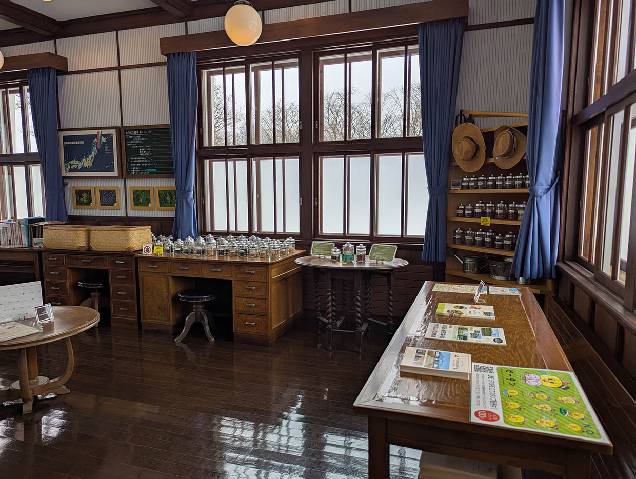 大きな窓から光が差し込むビーンズ館の展示室と資料が並ぶテーブル