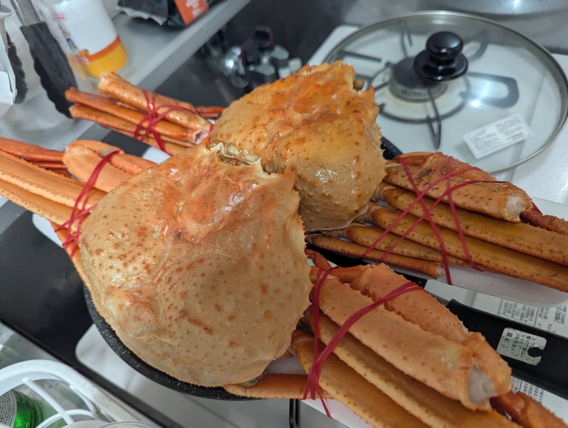 並べられた2杯のズワイガニ。濃いオレンジ色の甲羅が食欲をそそる。