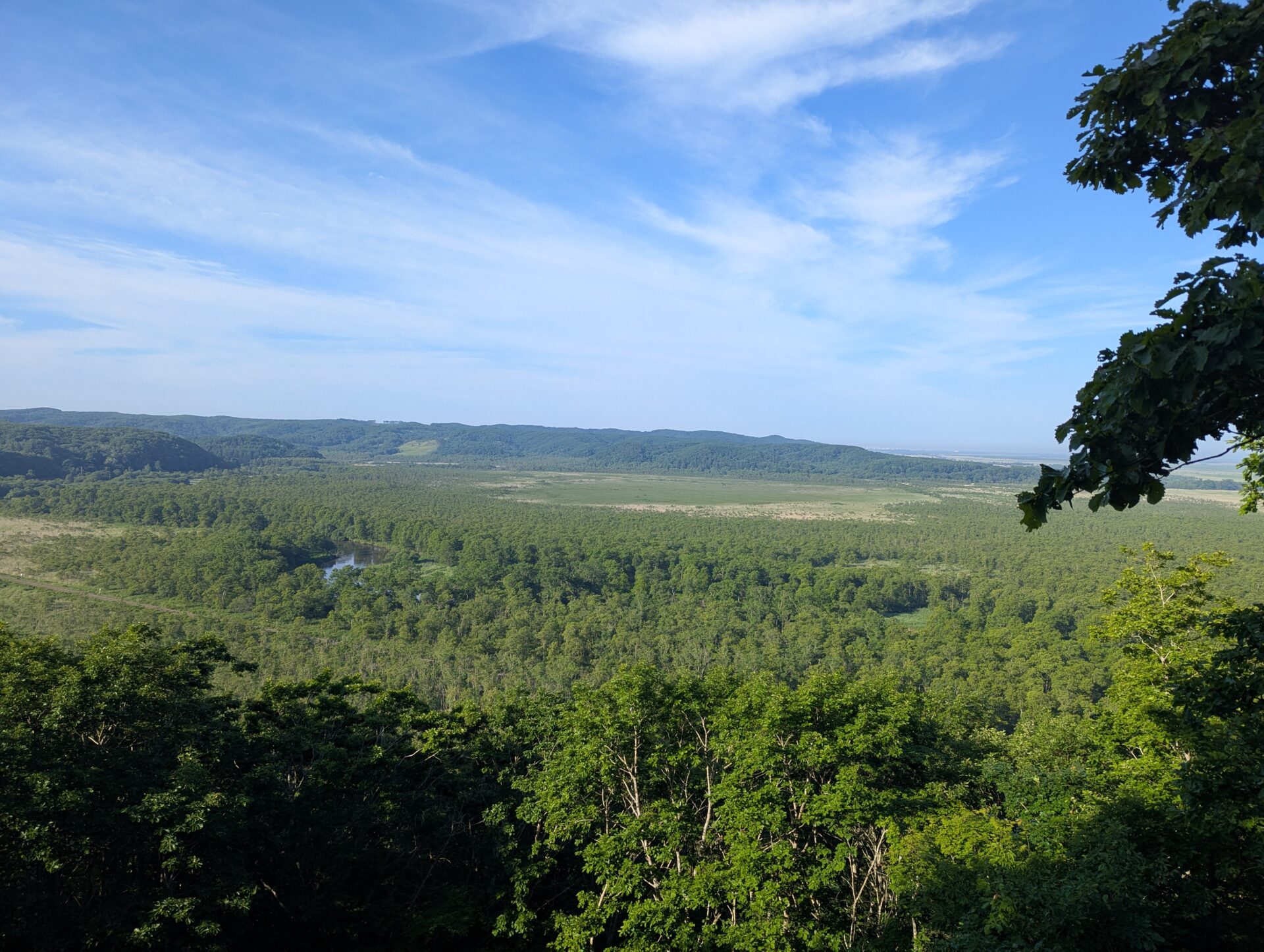 夢ヶ丘展望台から見える森と遠くの丘陵」