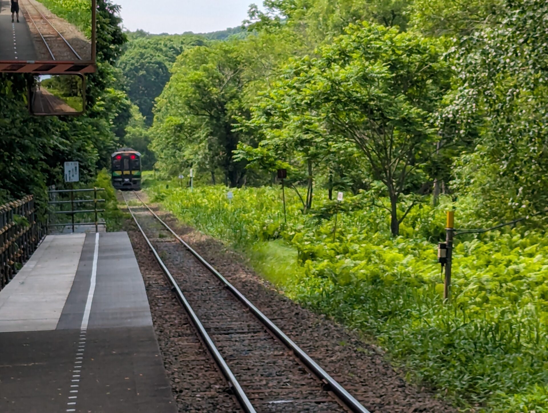 釧路湿原駅のホームから、緑の森に向かって走り去る列車の後ろ姿