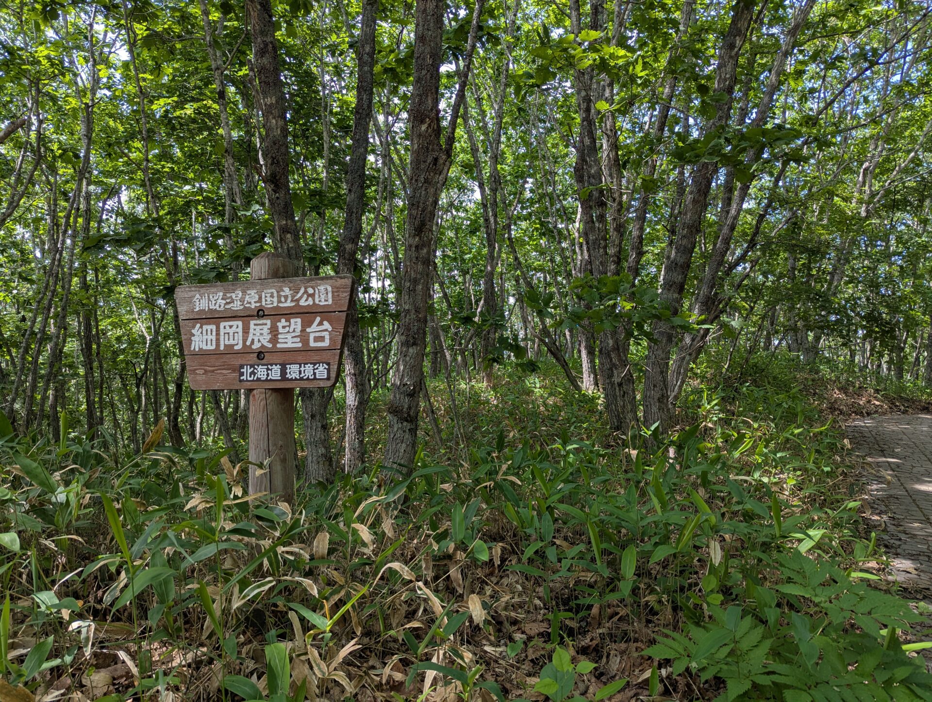 釧路湿原国立公園・細岡展望台の木製案内板と森の小道