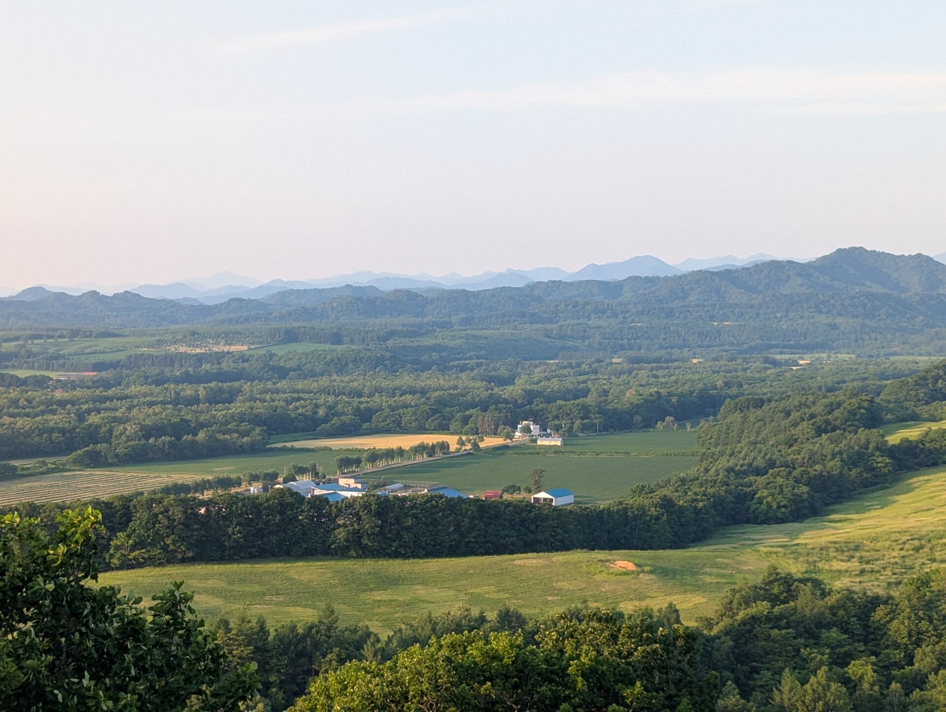 一本木展望タワーから見下ろす、木漏れ陽に照らされた十勝平野の絶景。緑の畑や森が広がり、遠くの山並みが青く霞む中、清々しい空気が漂う。