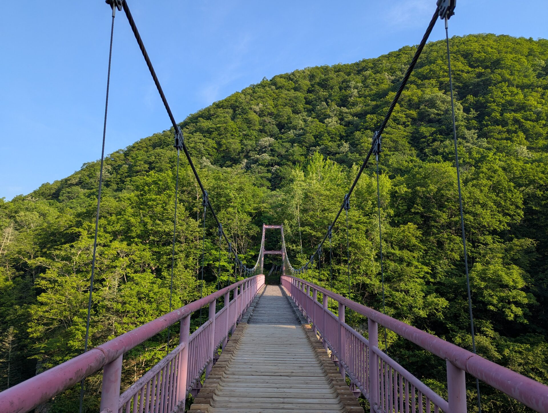 新緑に覆われた山の谷間に架かる、平成元年に造られた仙侠橋。木製の床板とピンク色の手すりが印象的な吊り橋で、青空の下、森へと続いている。