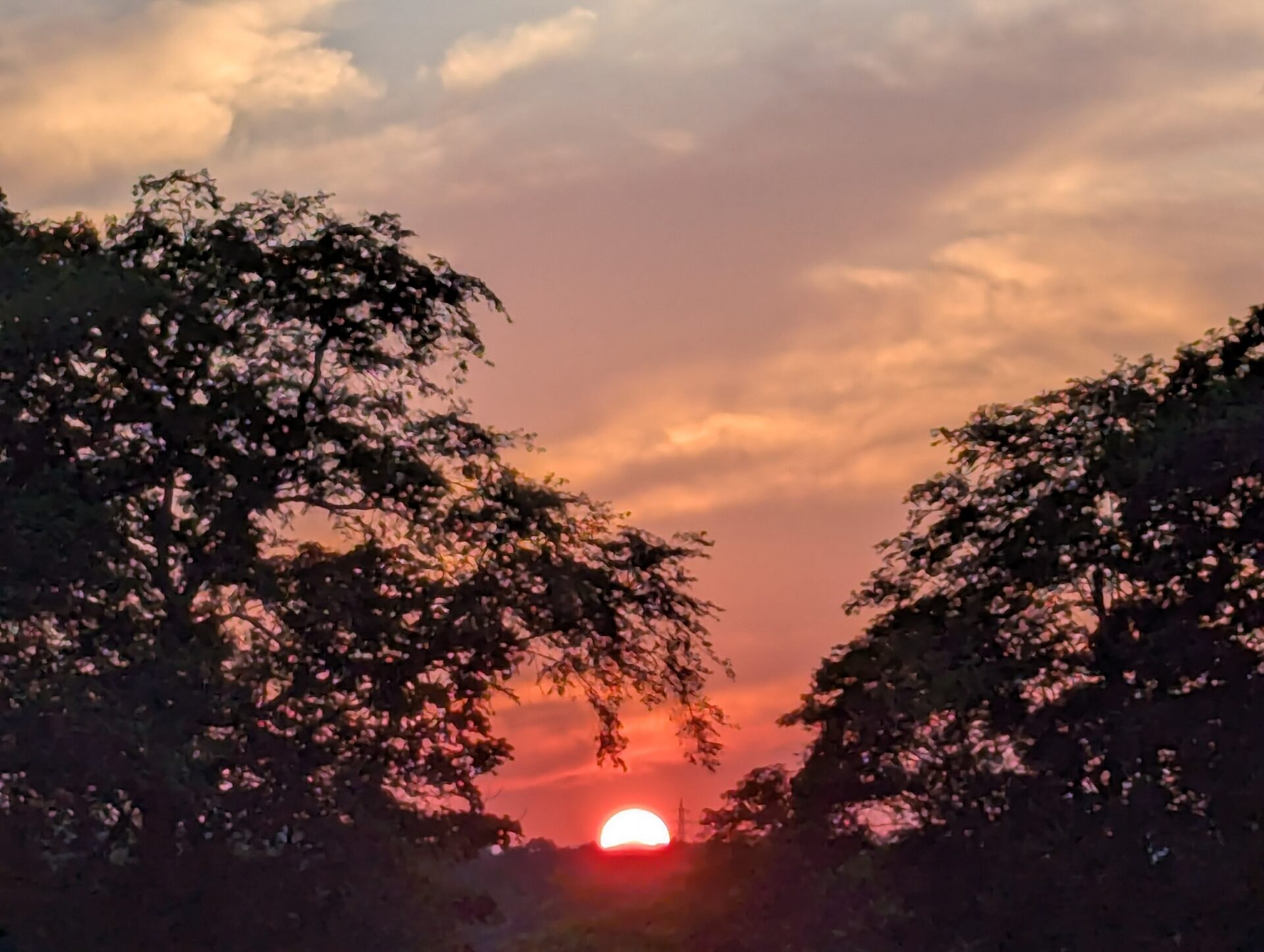 木々の間から真っ赤に輝く夕日が地平線に沈みかけ、オレンジと紫の雲が空を優しく染めている情景。日没の力強さと静けさが入り混じった瞬間。