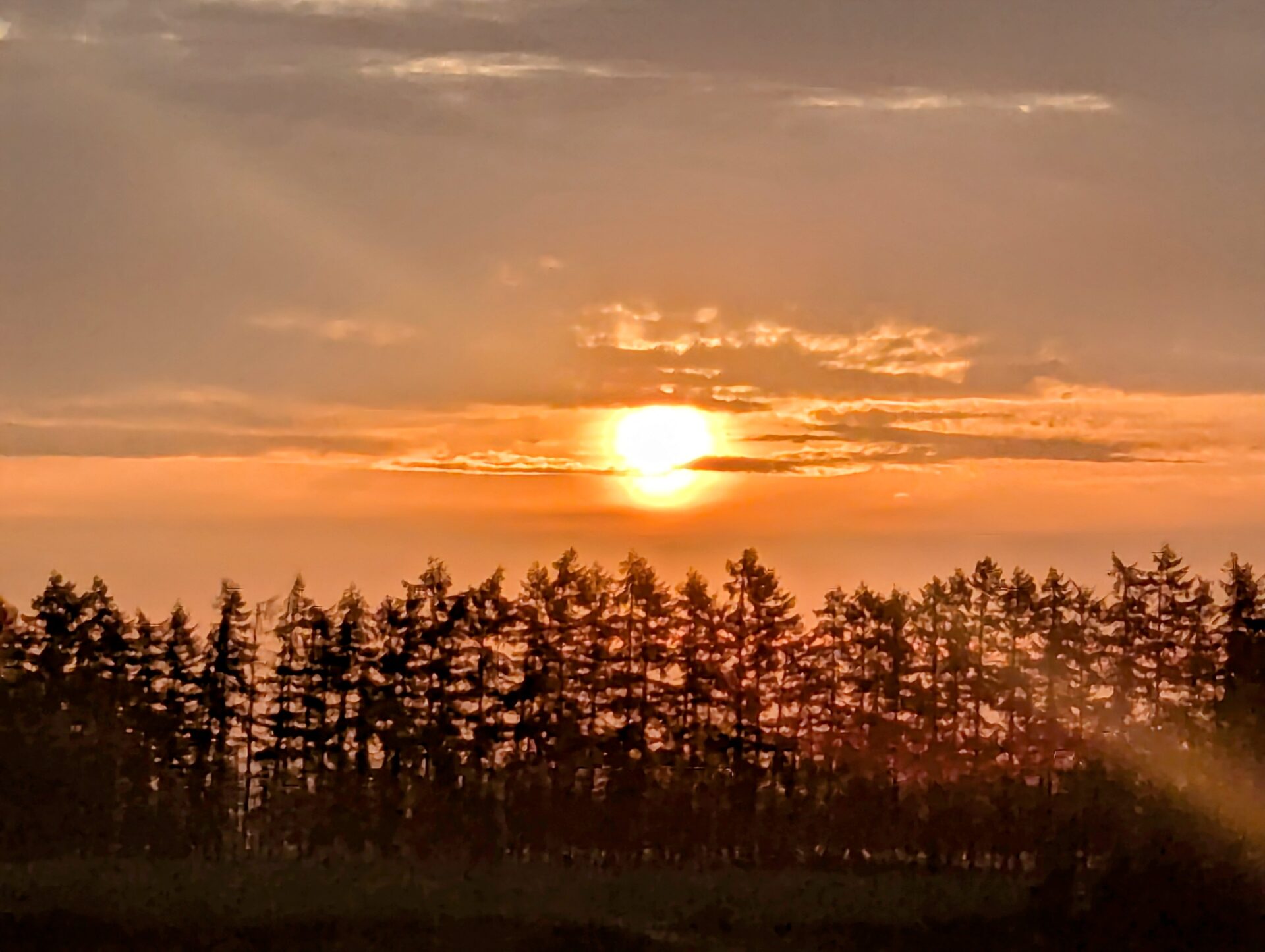 濃い木立のシルエットの上に力強く昇る朝日、道の駅しかおいから移動中に撮影