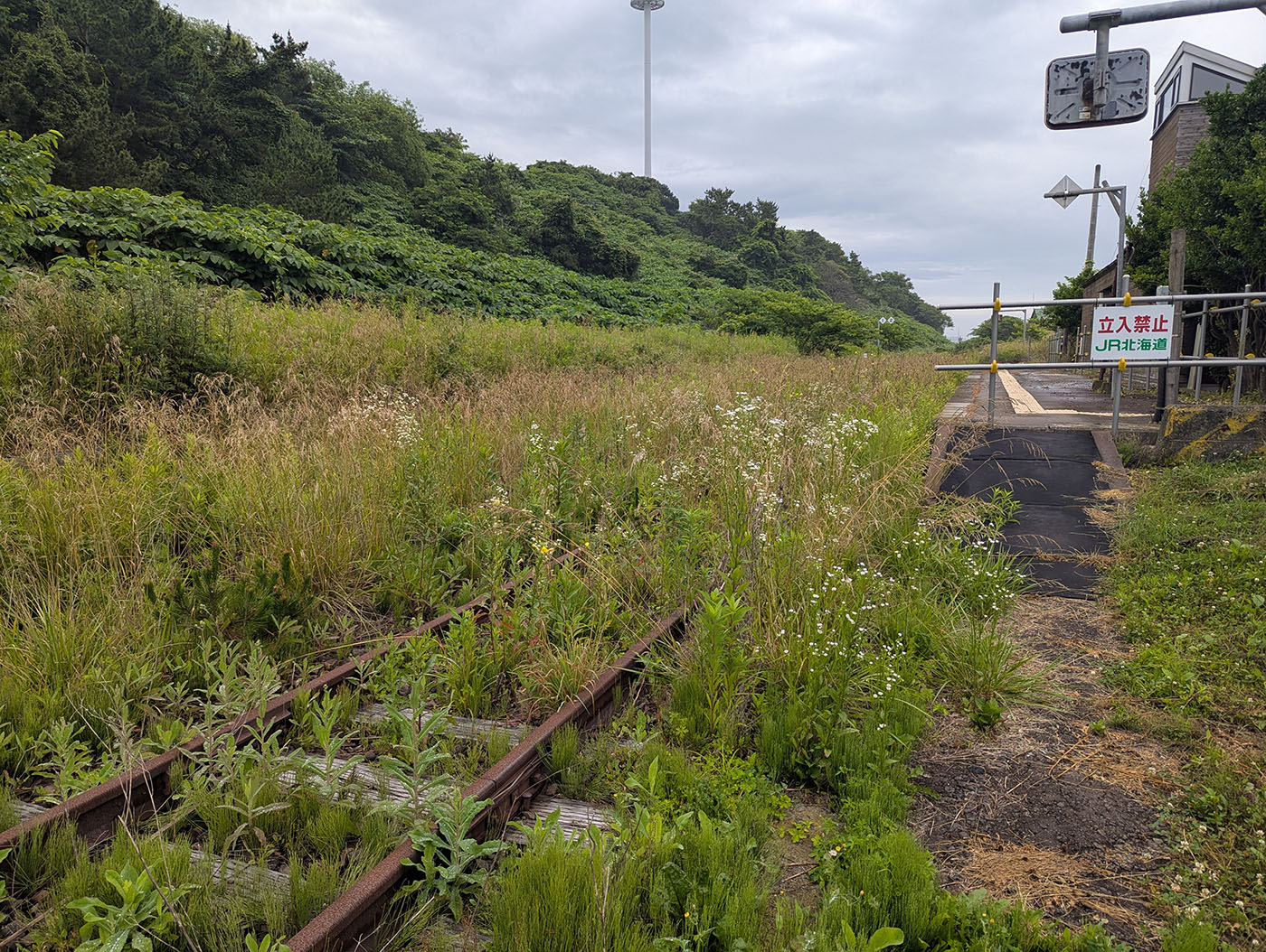 草に覆われた廃線跡の線路と「立入禁止」の標識（旧日高三石駅付近）