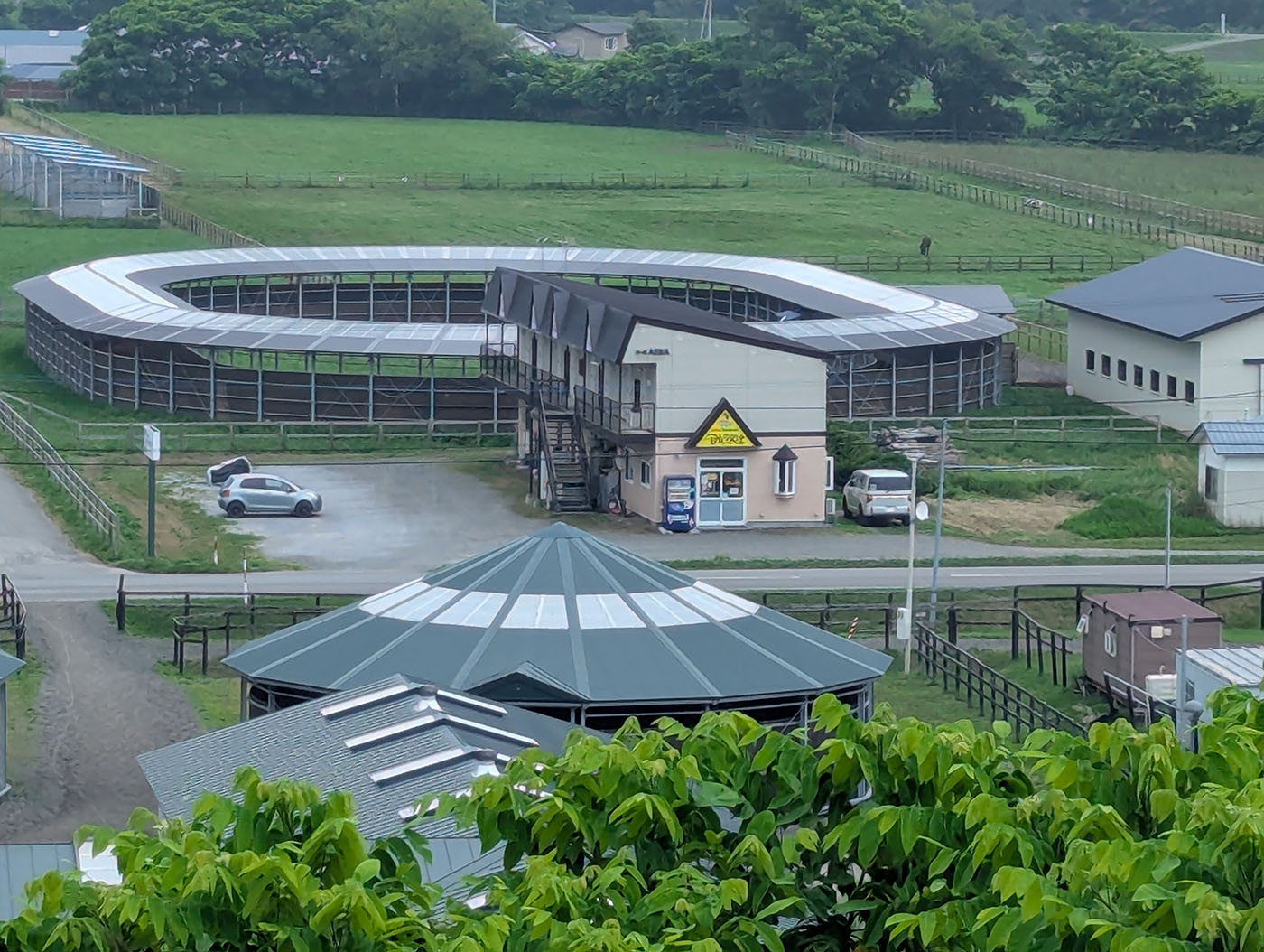 JRA日高育成牧場のトレーニング施設と円形馬場。整備された設備と広がる牧草地。