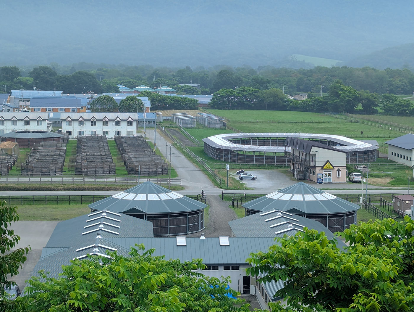 日高育成牧場を展望台から見た全景。整然と並んだ厩舎やトレーニング施設が広がる。