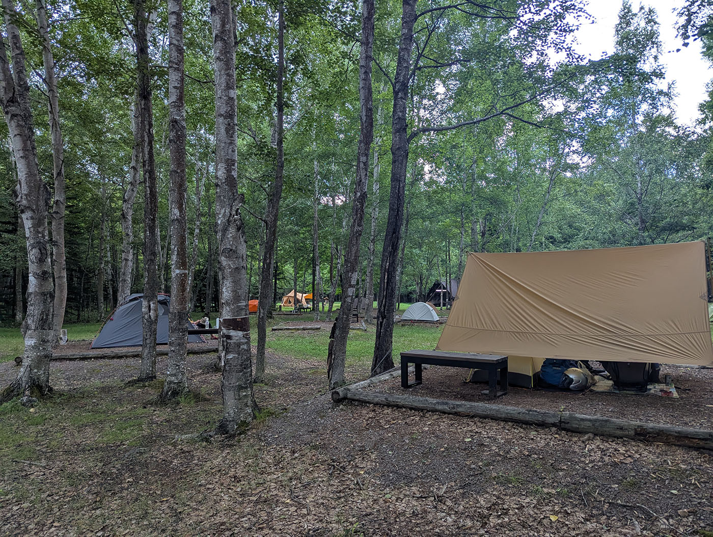 木々に囲まれた林間の糠平野営キャンプ場。ウッドデッキ上にはタープやテントが設営され、複数のグループが静かに過ごしている様子。