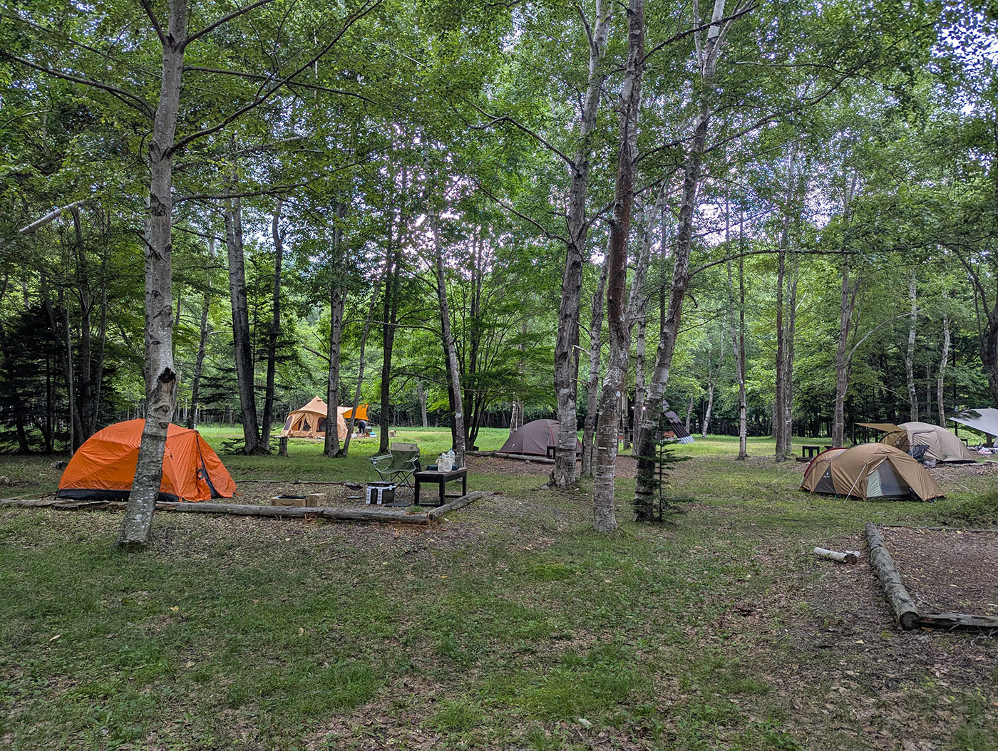 糠平野営キャンプ場の夕方、林間に並ぶテントと木立の静寂