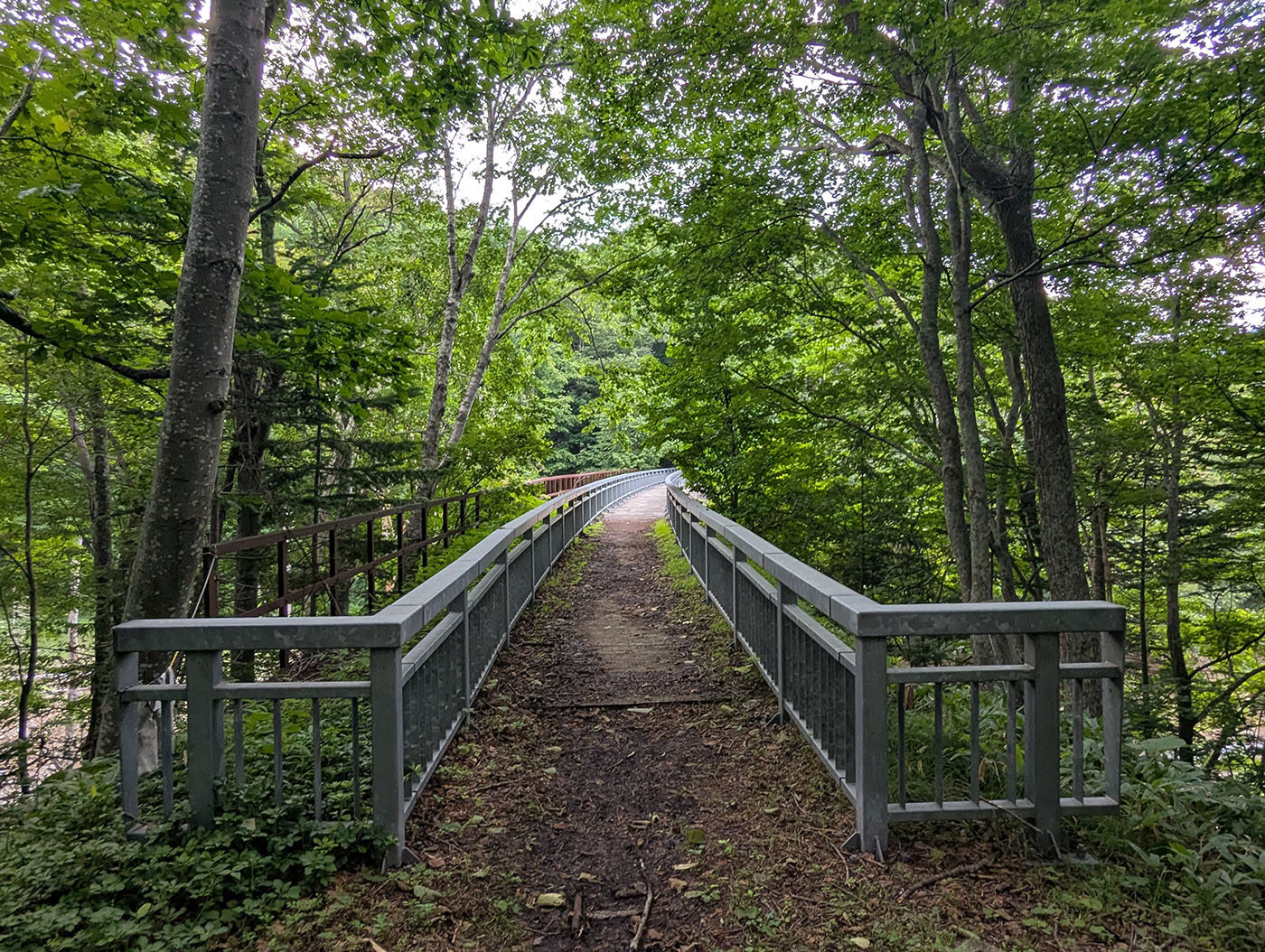 緑の中を渡る糠平川橋梁の遊歩道