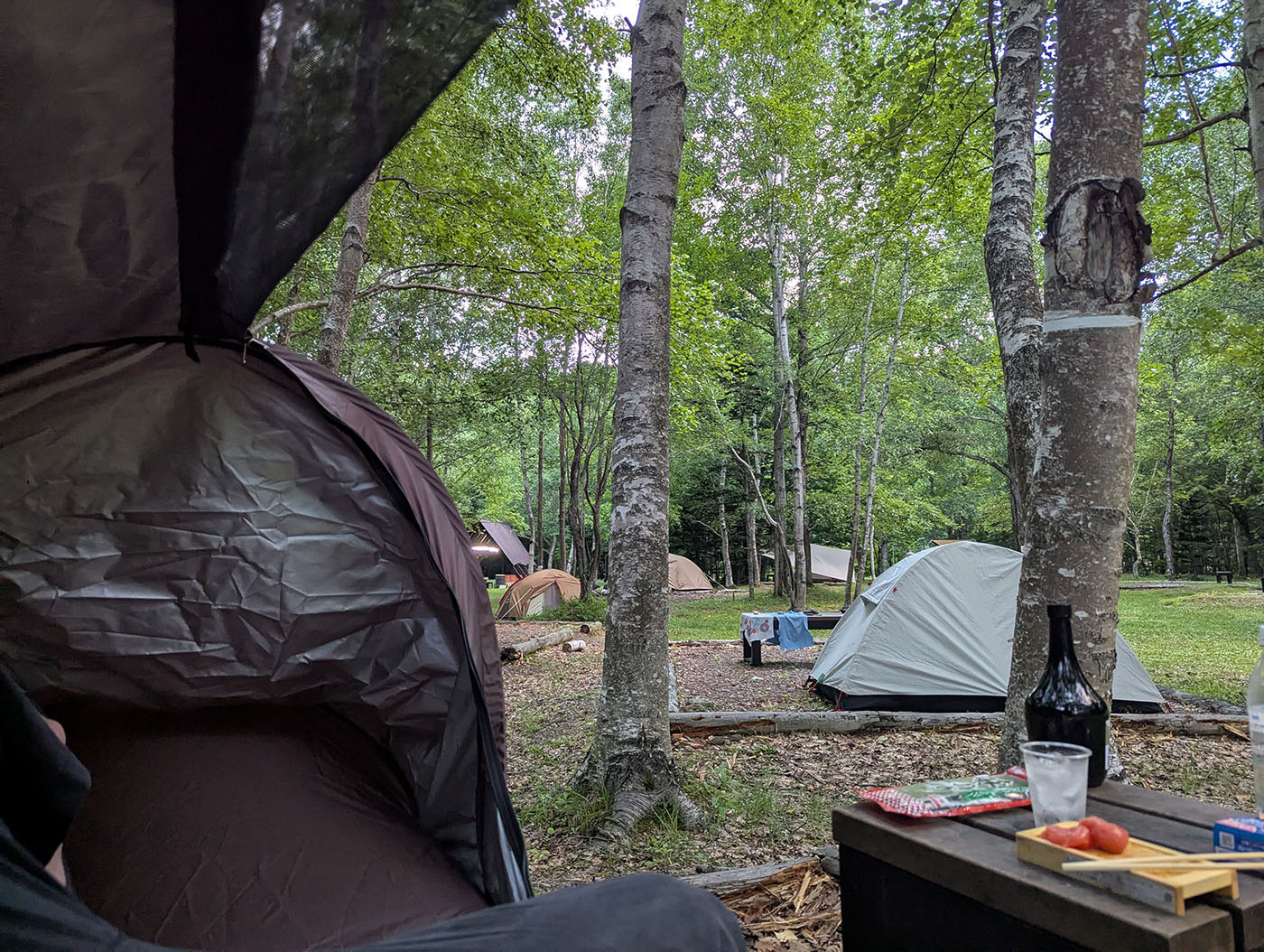 森の中のキャンプ場で、テントの中から見える他のテントと自然の風景。手前にはキャンプ用のテーブルとドリンクが見える。
