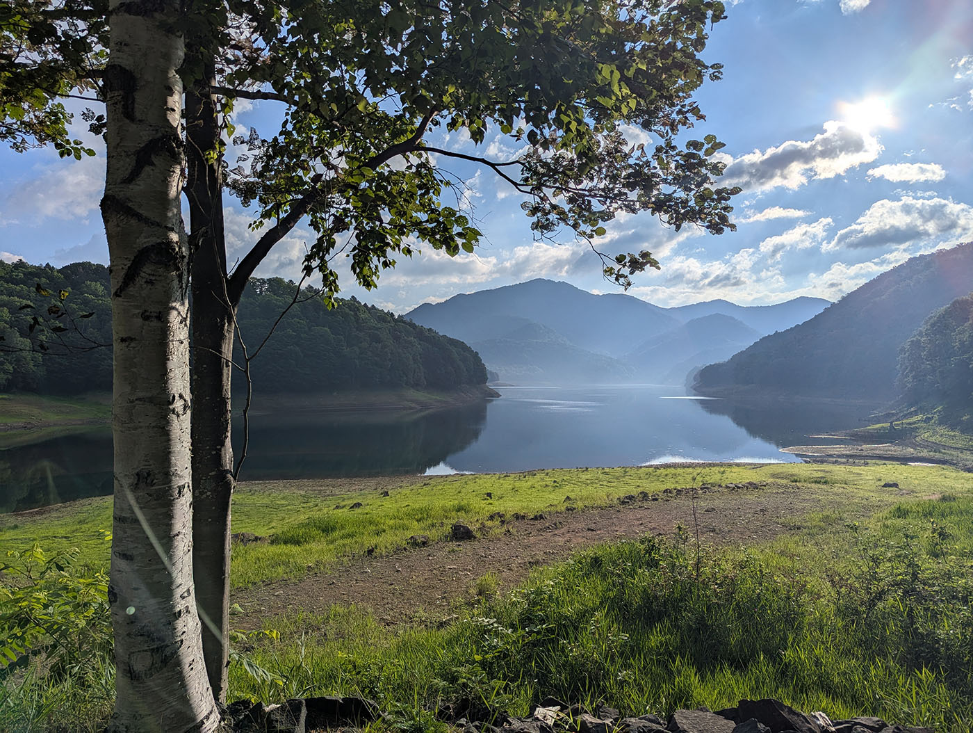 朝日に照らされる糠平湖と白樺の木。湖面に山並みと空が映る幻想的な風景。