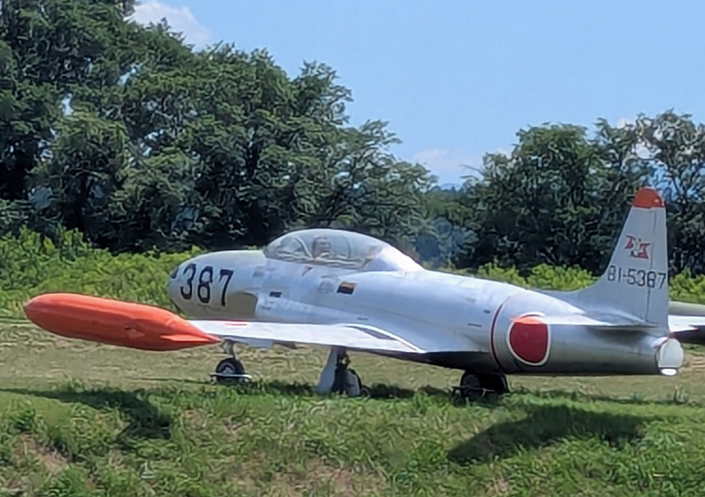 航空自衛隊の退役練習機T-33A（機体番号81-5387）のアップ、畑の中で静かに佇む機体のディテールが見える