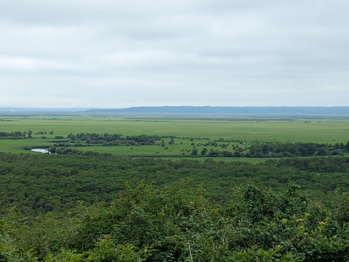 曇天の下に広がる釧路湿原の雄大なパノラマ。緑の草原と蛇行する川が遠くまで続く景観