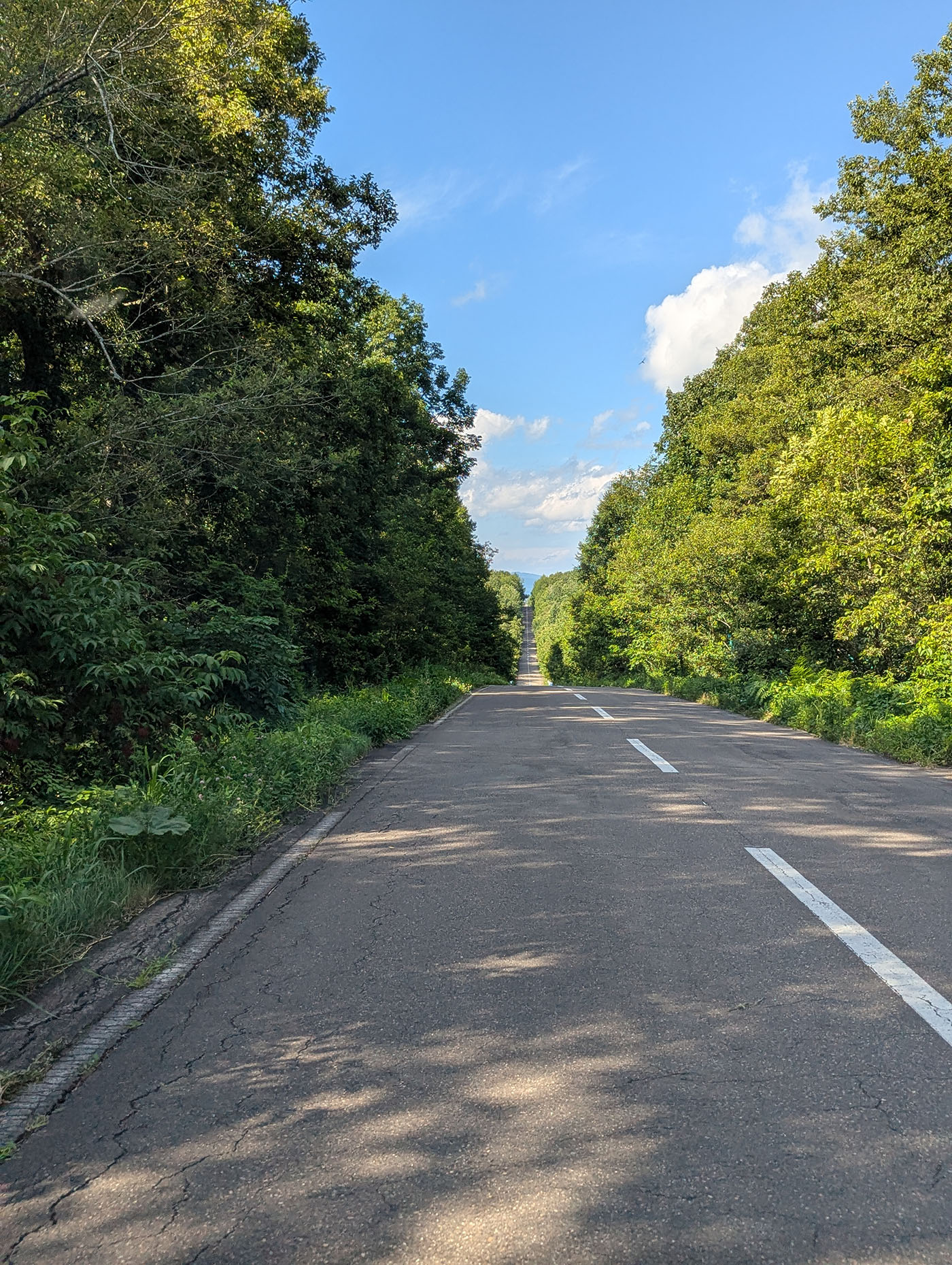青空の下、まっすぐに伸びる北海道の一本道。両脇を濃い緑の森が囲み、奥へと続く道路が遠近感を強調している。