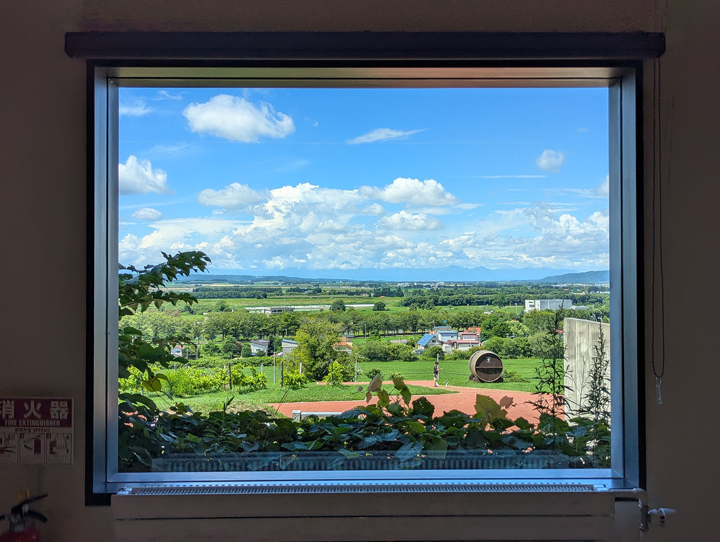 窓枠を額縁に見立てた池田ワイン城からの絶景