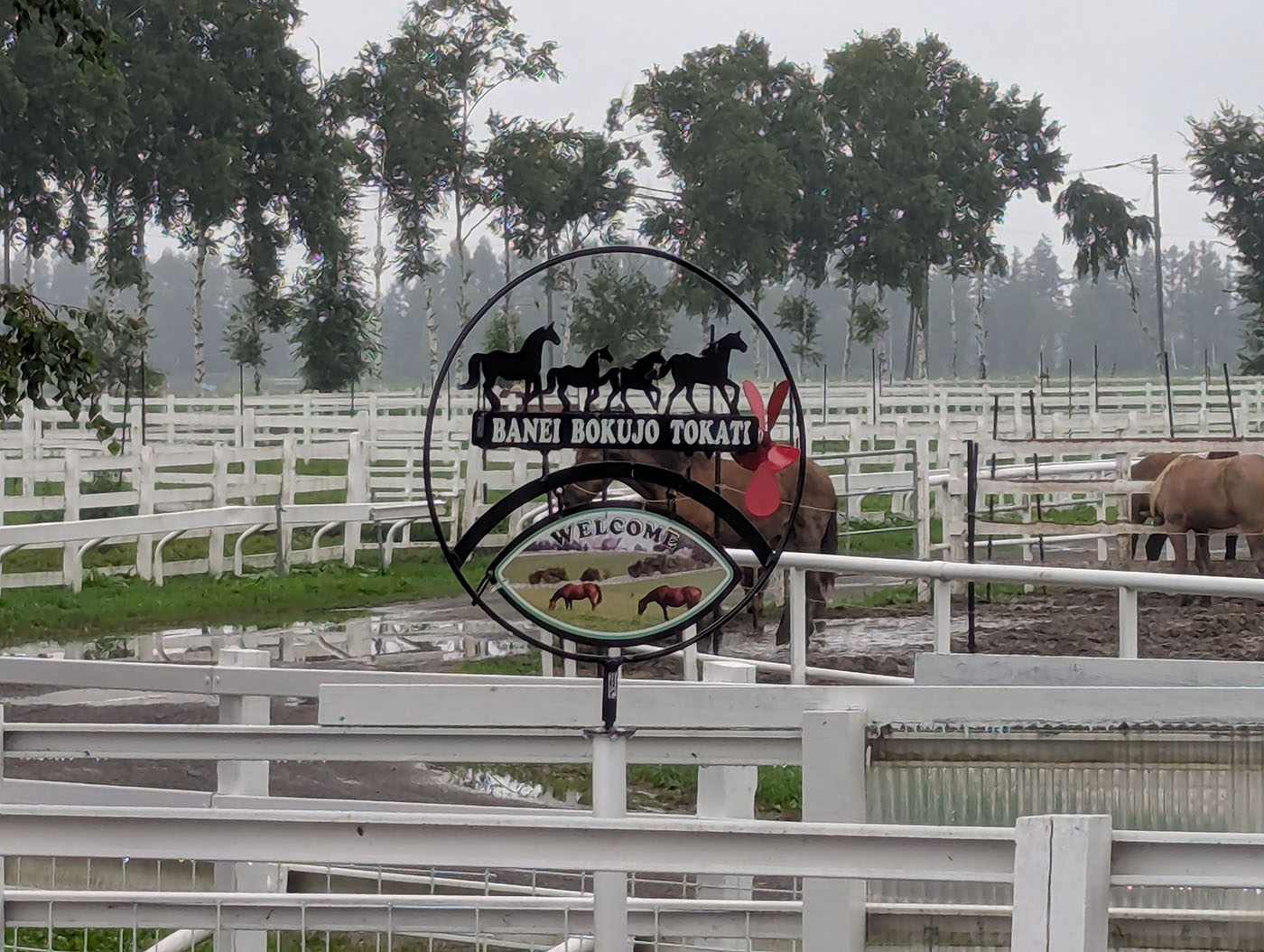 ばんえい牧場十勝の入口に掲げられた「BANEI BOKUJO TOKATI」の看板。背後には白い柵に囲まれた放牧場と馬たちの姿が広がる。