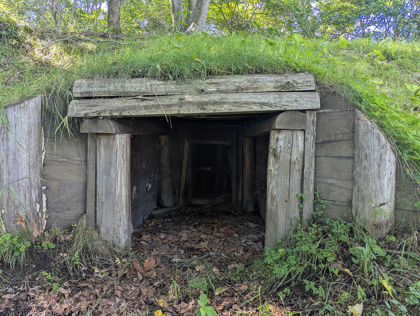 晩成社跡地に残る土をかぶせた木造の貯蔵庫。地中に掘られた構造で、涼しさを利用して保存ができるようになっている。