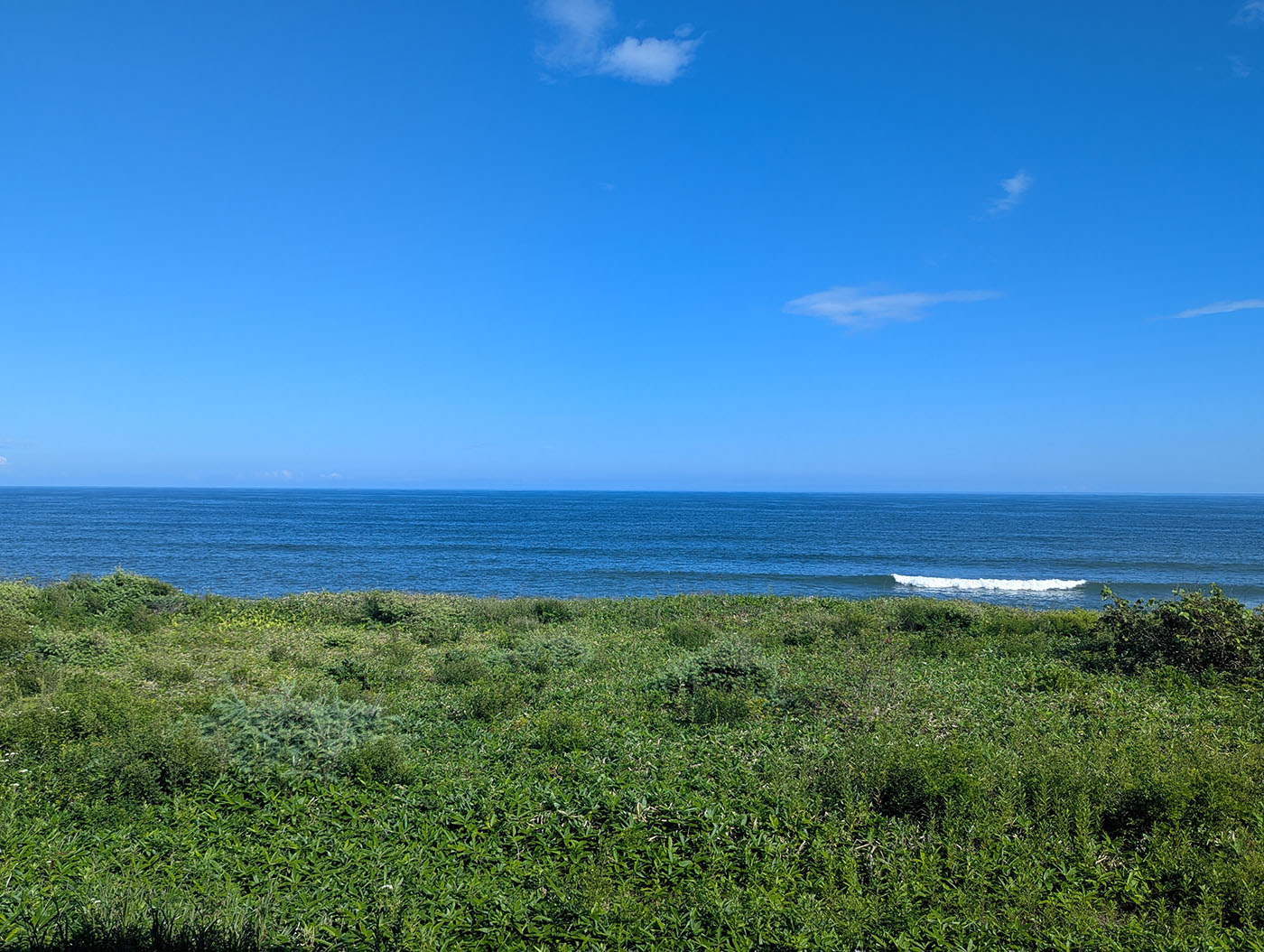 晩成温泉から望む太平洋。手前に広がる緑の草原の向こうに、青く穏やかな海が水平線まで続いている。