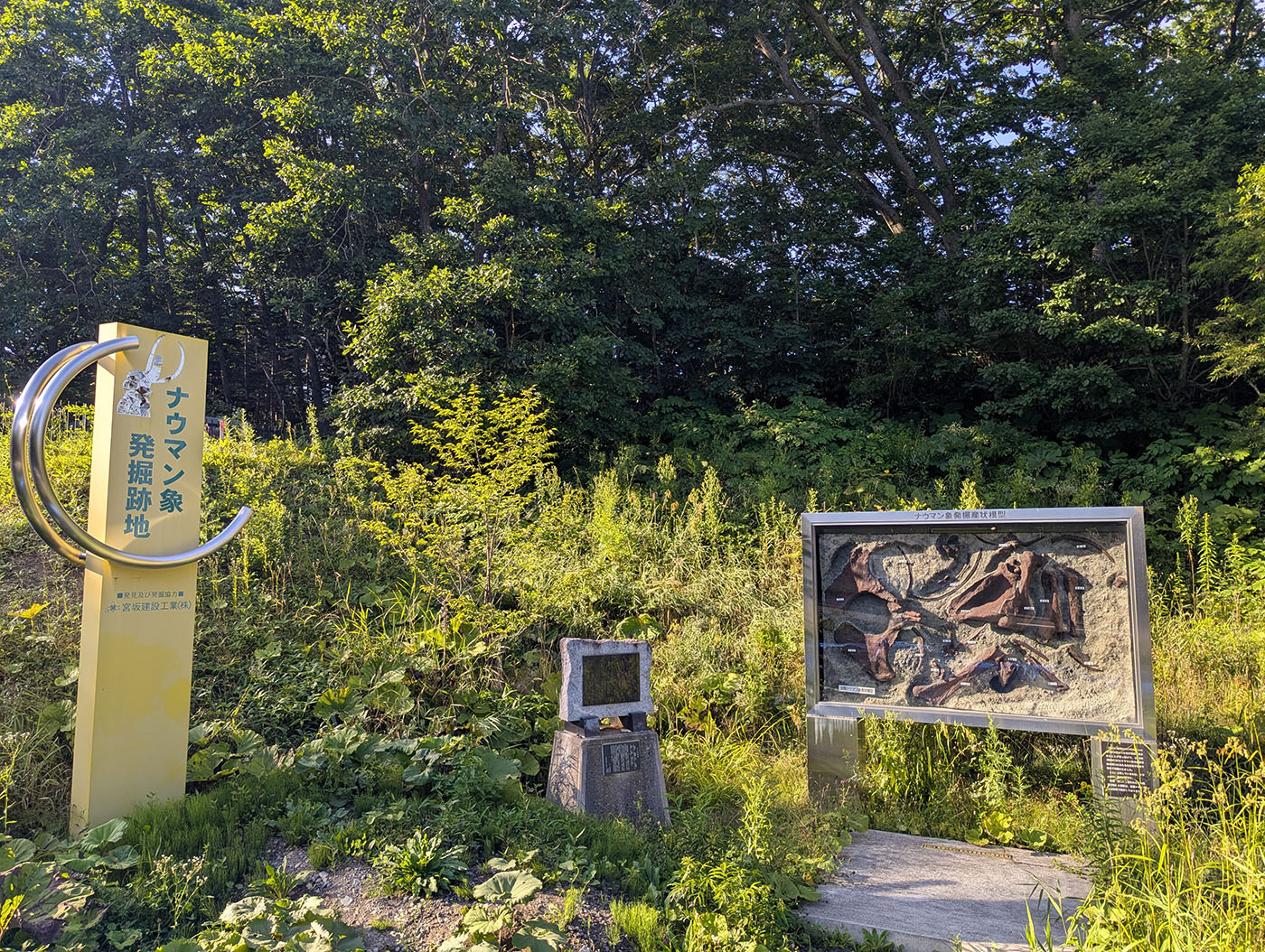 中札内村にあるナウマン象発掘跡地の案内板とモニュメント。黄色い標柱と発掘された骨格の模型展示が並び、緑に囲まれた場所に立っている。
