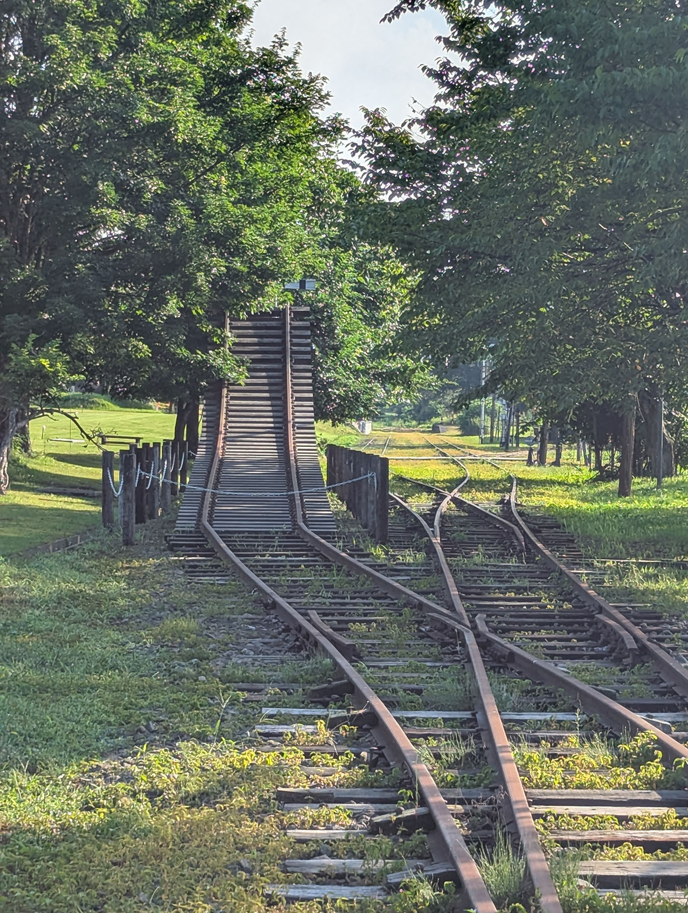 富内銀河ステーションの線路跡。朝の光に照らされた線路が分岐し、奥には木製の跨線橋が残されている。緑に包まれた静かな風景の中に、鉄道の記憶が息づいている。