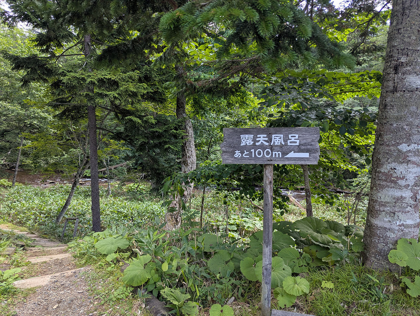 鹿の湯温泉への案内板。「露天風呂 あと100m」と書かれた木の標識が森の中に立つ。
