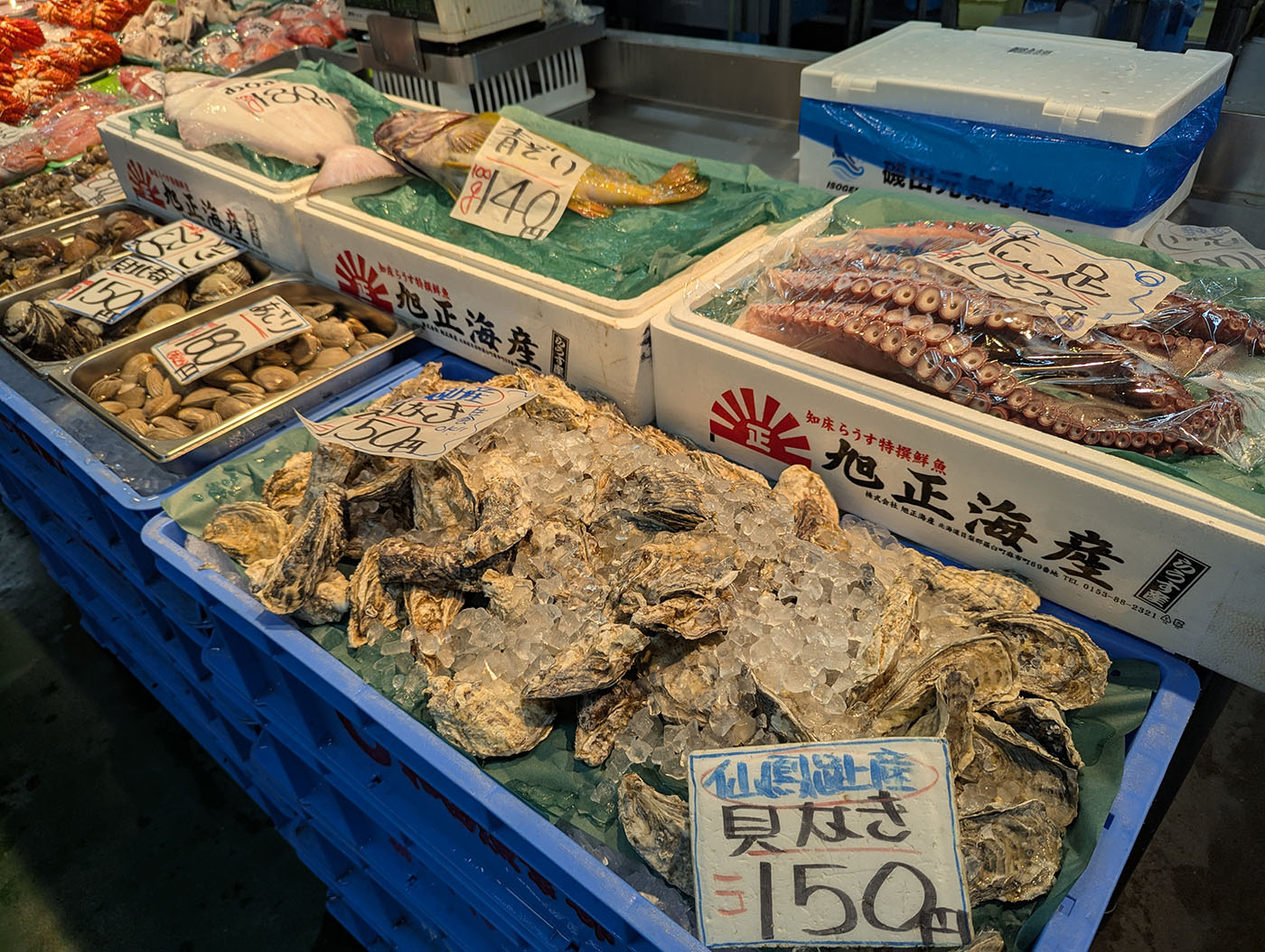 釧路・和商市場の鮮魚売り場。北海道産の牡蠣や貝、魚介が並び、値札の色分けが印象的。