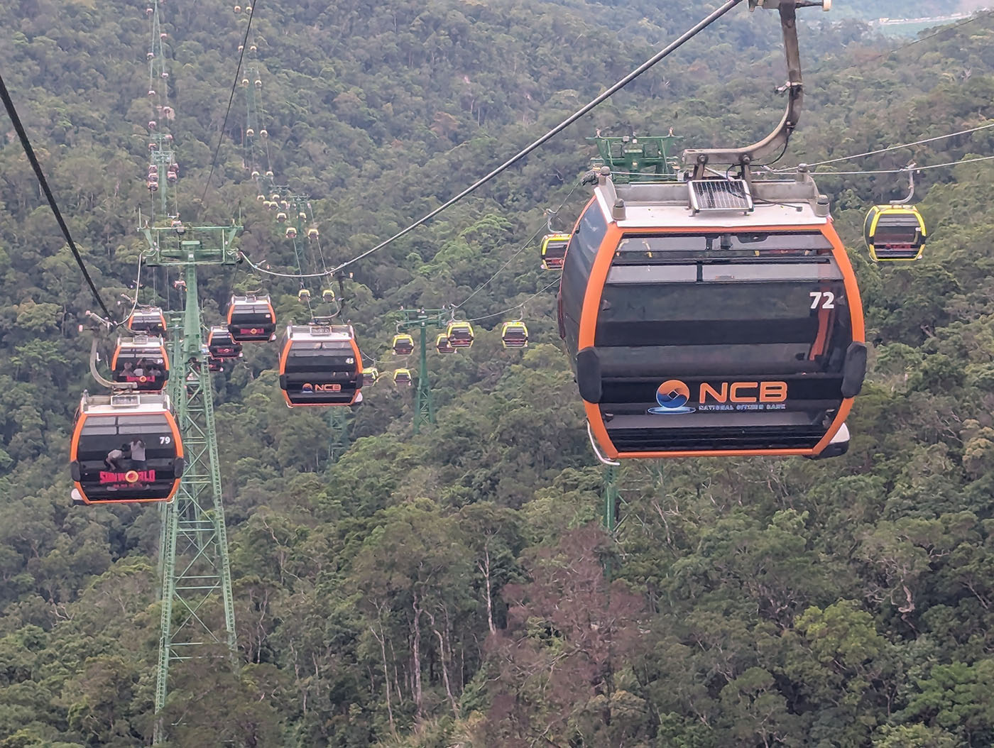 森の上空を進むバーナーヒルズのロープウェイ。黒とオレンジのゴンドラが連なり、奥へと伸びていく。