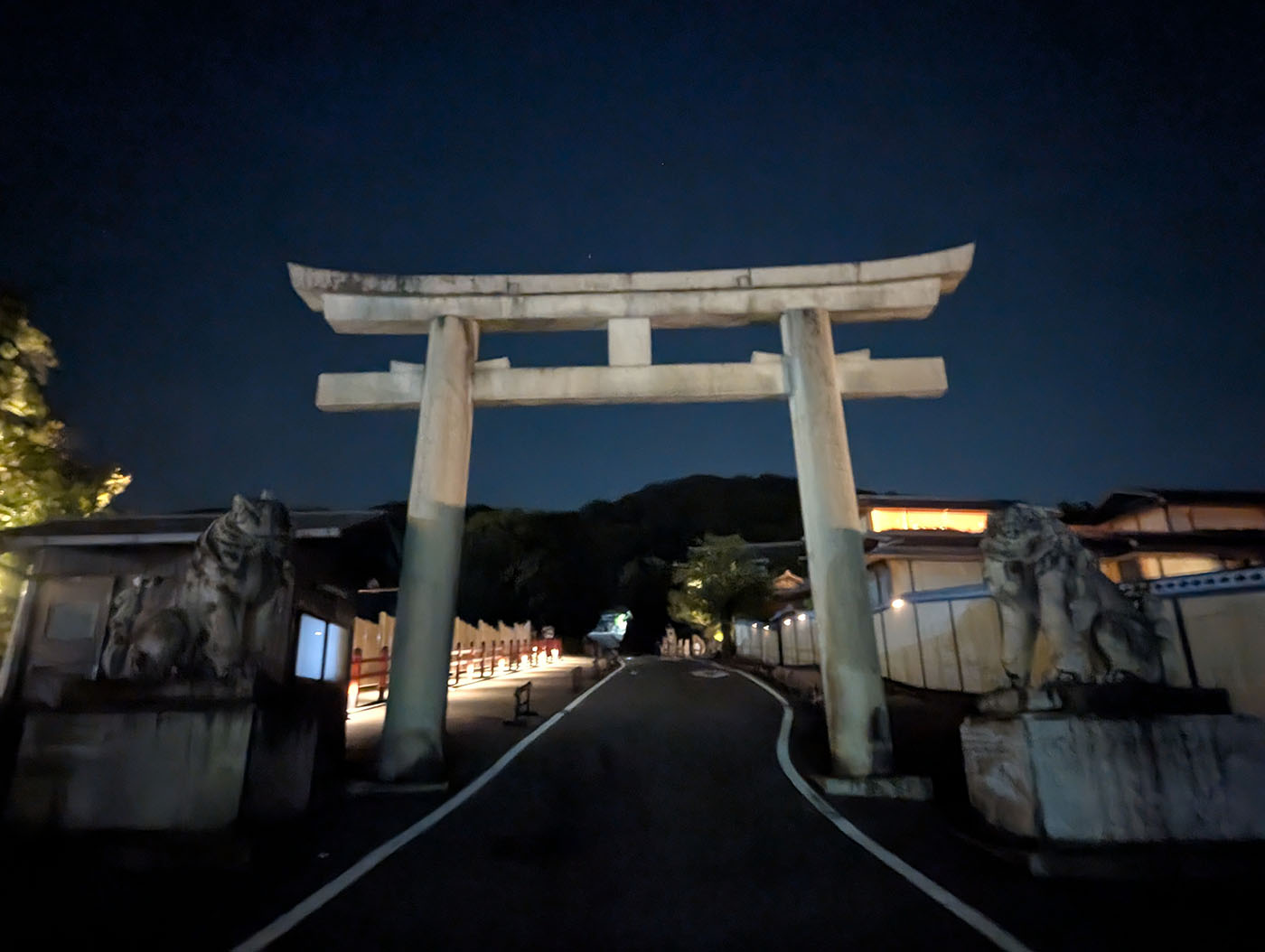 夜の護国寺の大鳥居。月明かりに照らされた狛犬と石の鳥居が荘厳に立つ。