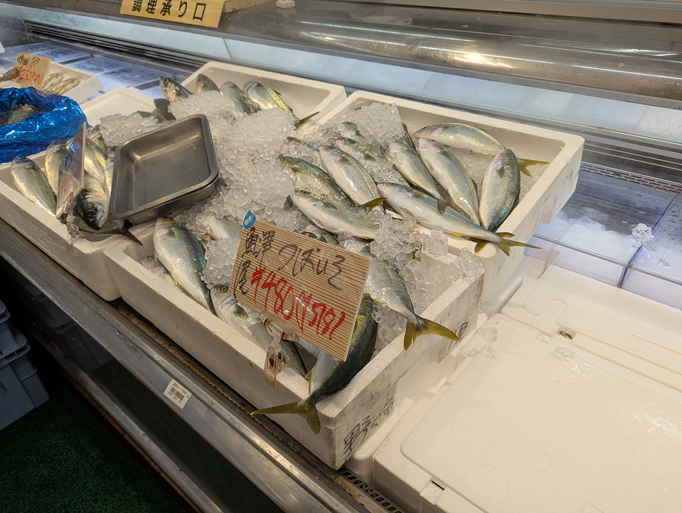 スーパー・バローの鮮魚コーナーに並ぶ新鮮なツバス（ブリの若魚）。氷の上で光る魚がずらりと並び、地元の海の恵みを感じさせる光景。