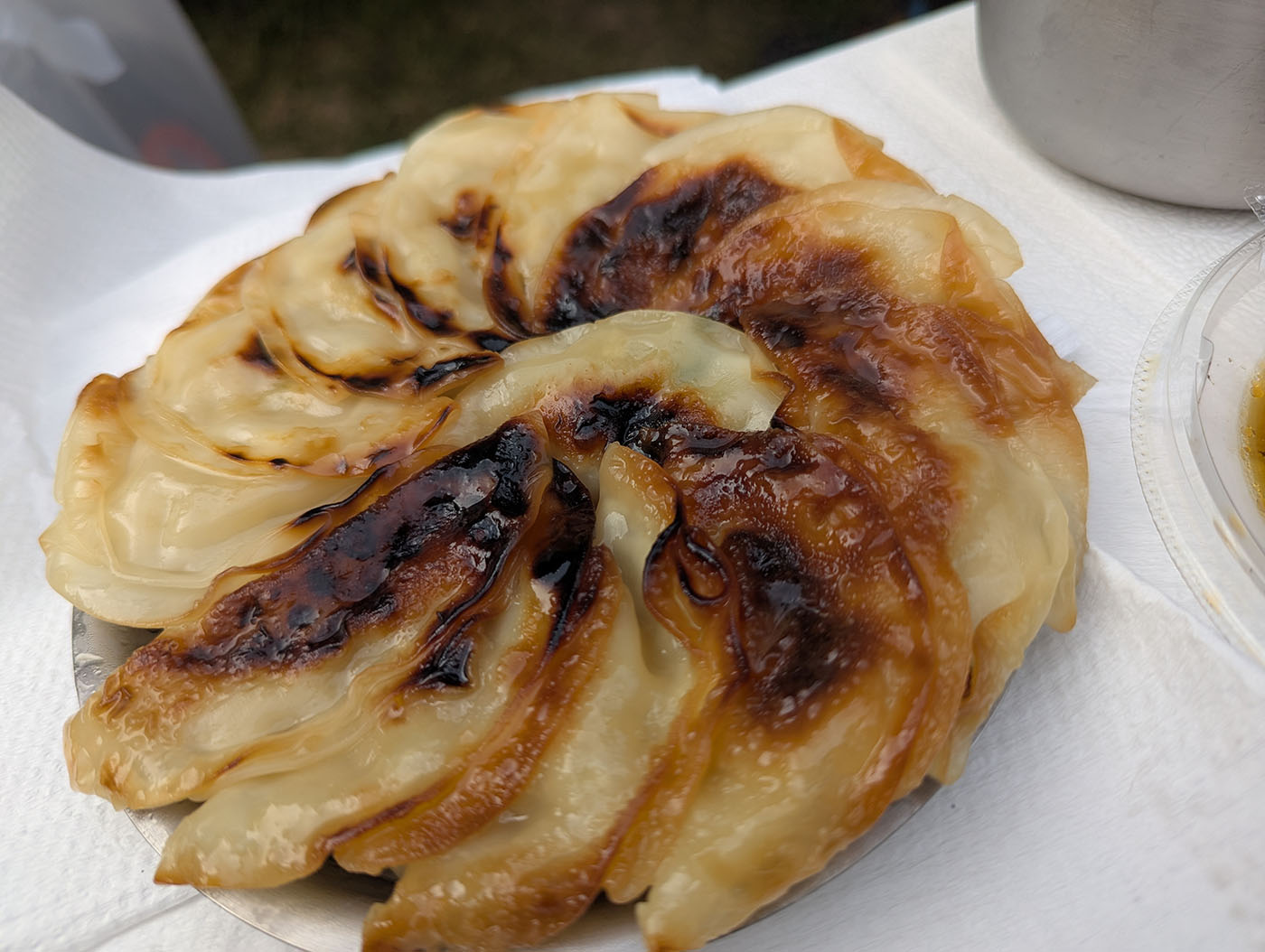 フライパンで円形に焼かれた餃子。こんがり焼き目がつき、香ばしい湯気が立ち上る。