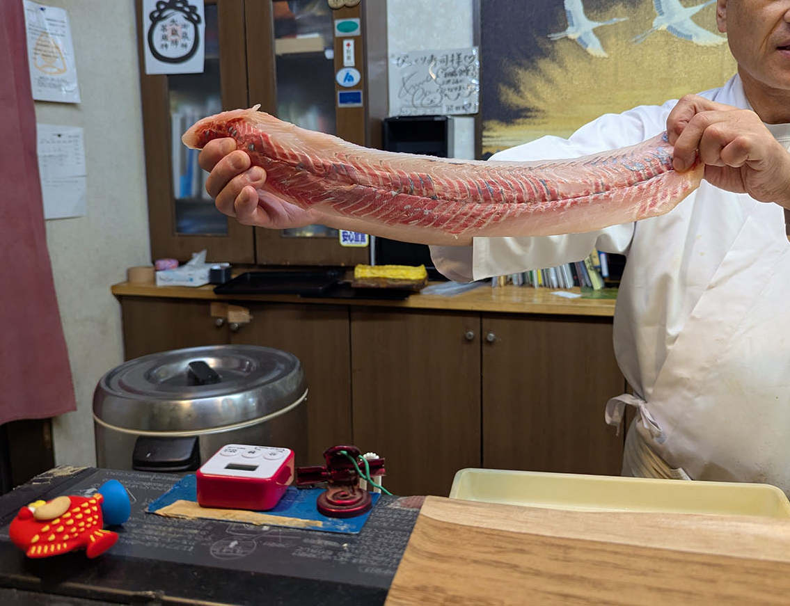 びっくり寿司の大将がさばいたチョウザメを見せてくれる
