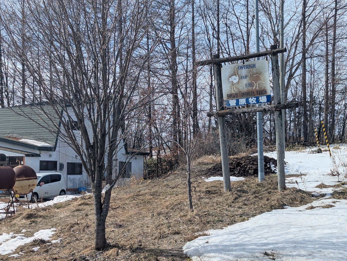 菅原ダチョウ牧場