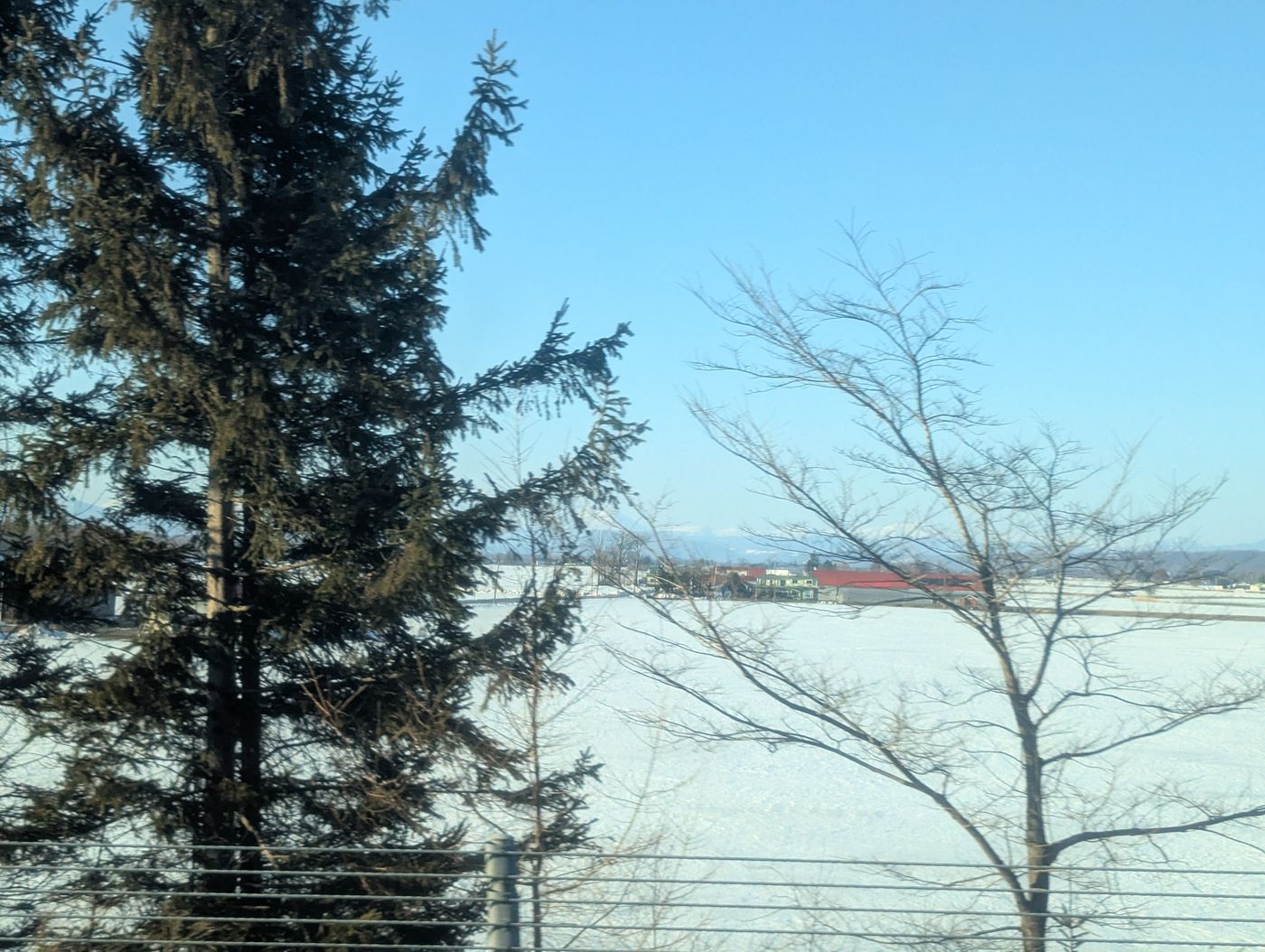 バスから見える雪景色