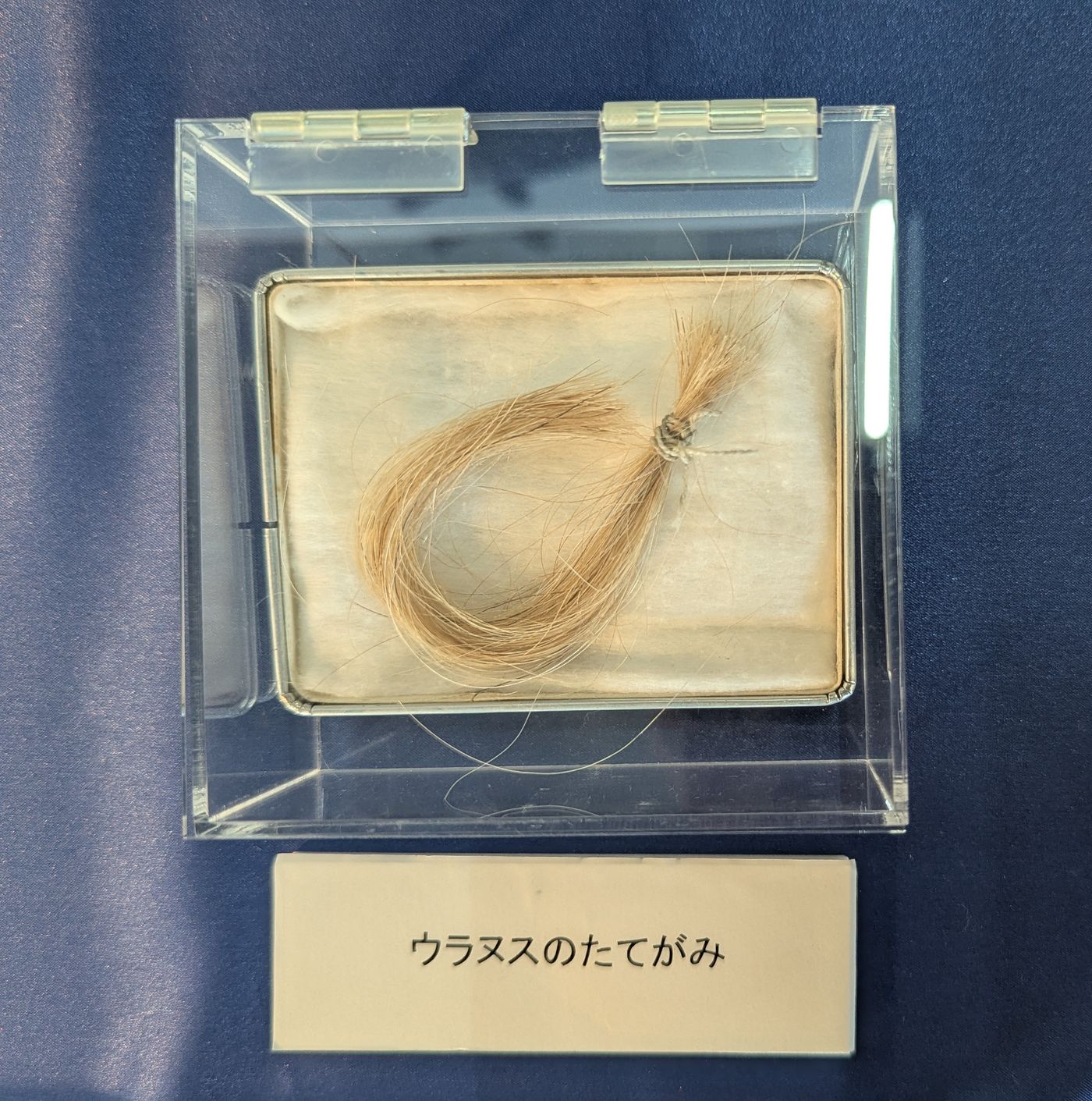 本別町歴史民俗資料館に展示されたウラヌスのたてがみ