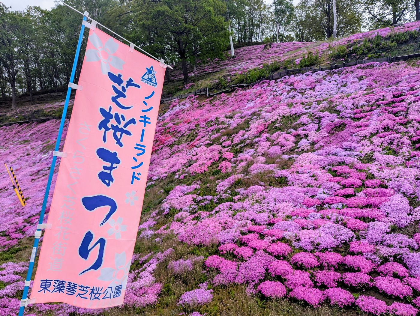 ひがしもこと芝桜公園