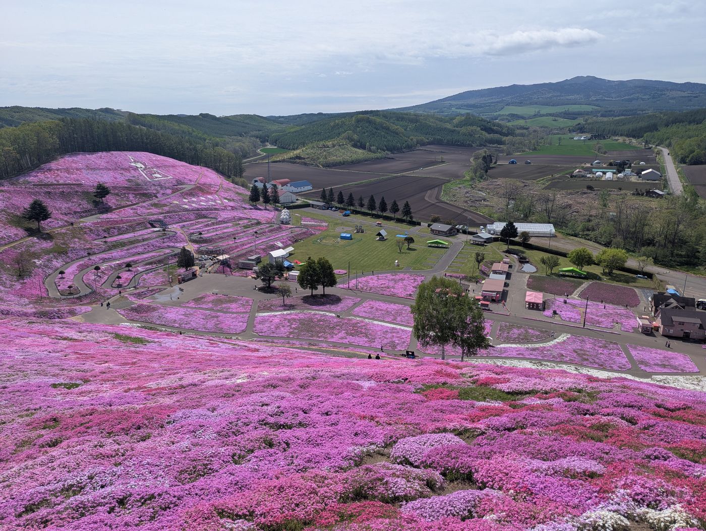 山の上から見た東藻琴の芝桜