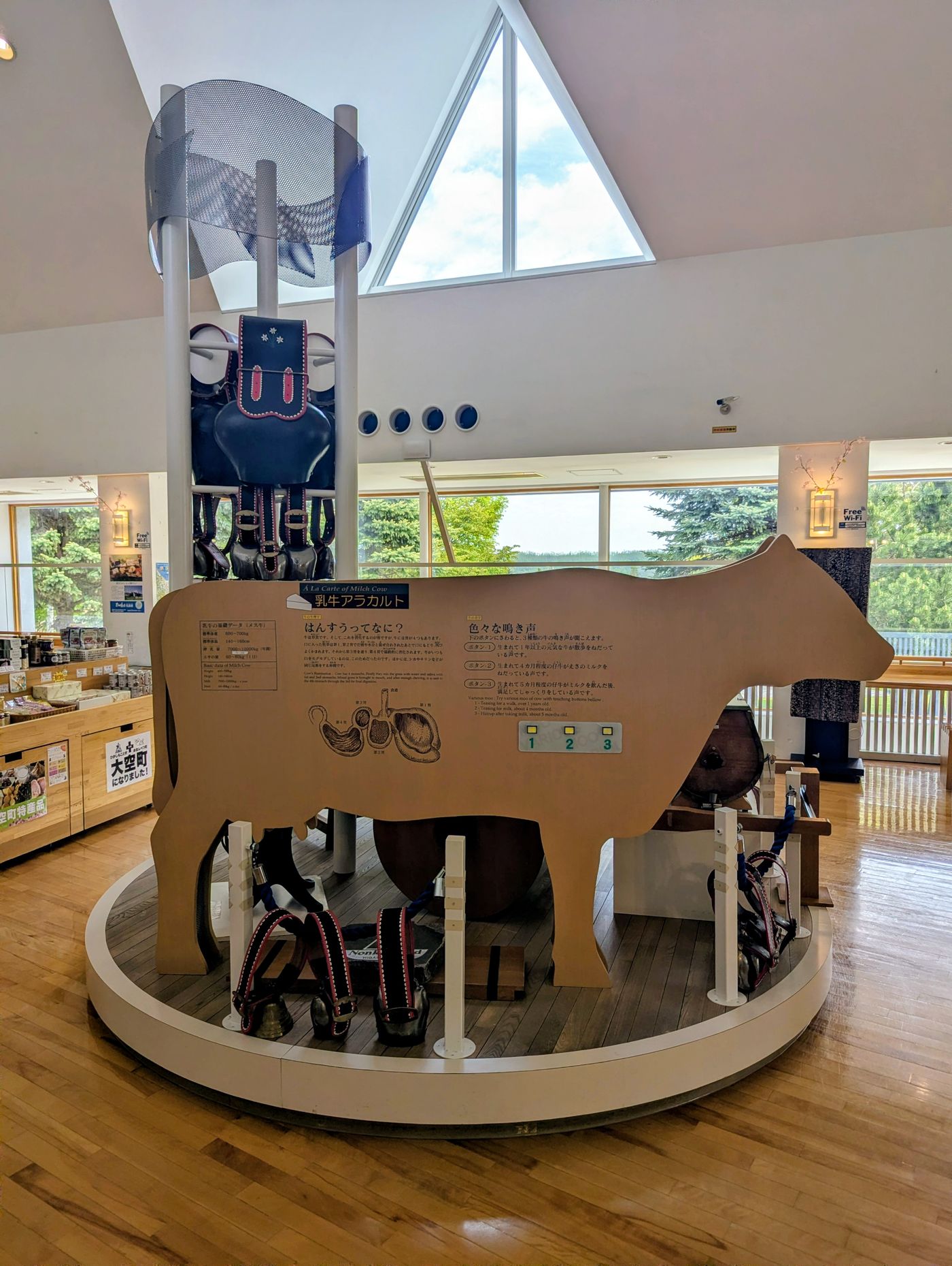 館内の展示物