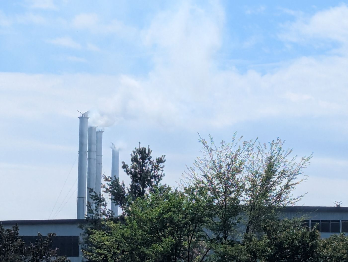 双日北海道与志本の木材乾燥・加工工場